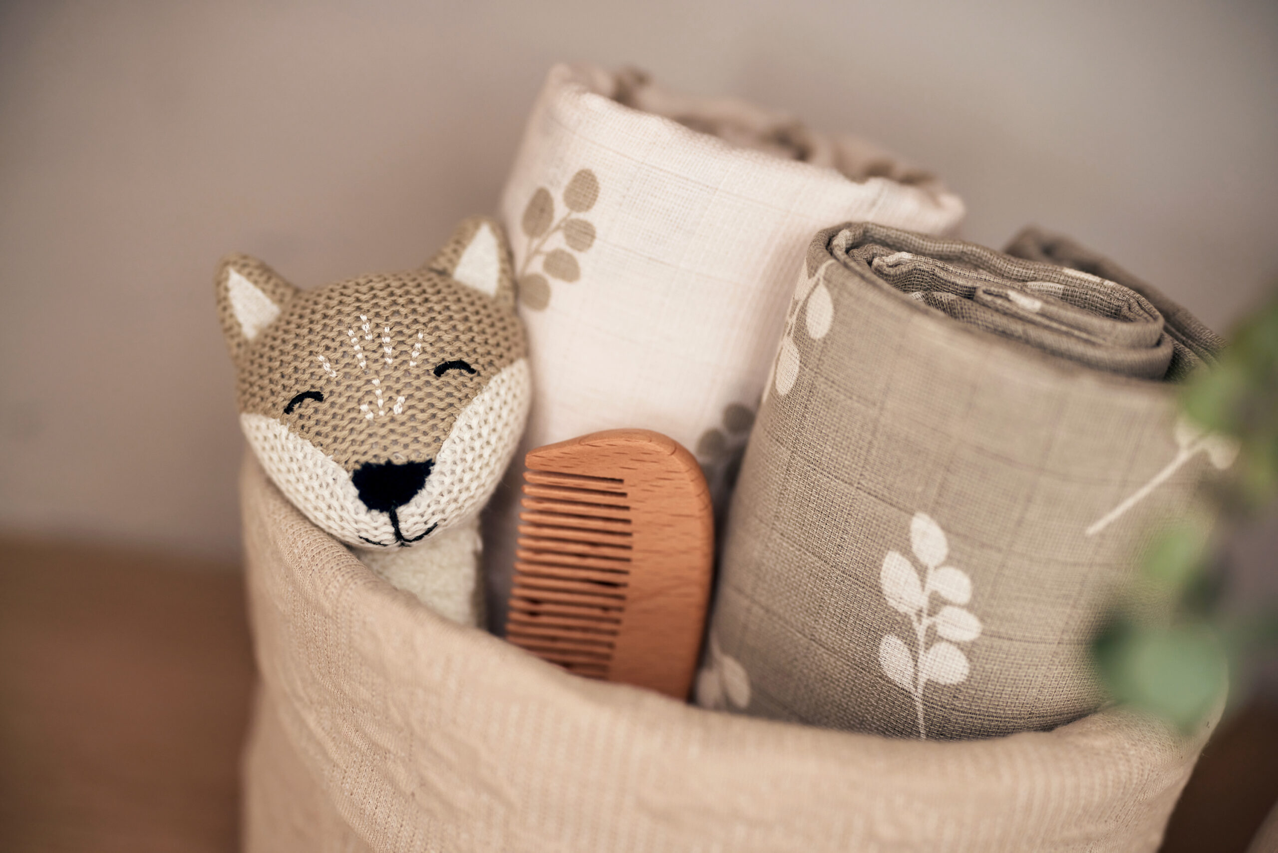 Rassel Fuchs – Bild 4
